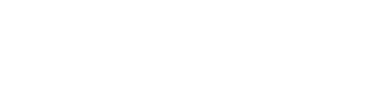 FlowForce Max logo